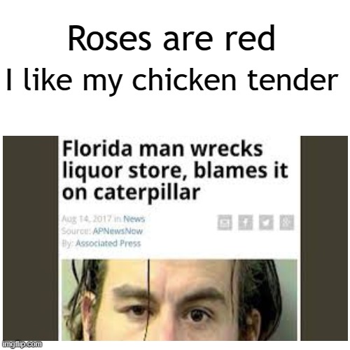 Manipulation:100 | I like my chicken tender; Roses are red | image tagged in florida man | made w/ Imgflip meme maker