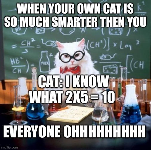 Chemistry Cat | WHEN YOUR OWN CAT IS SO MUCH SMARTER THEN YOU; CAT: I KNOW WHAT 2X5 = 10; EVERYONE OHHHHHHHHH | image tagged in memes,chemistry cat | made w/ Imgflip meme maker