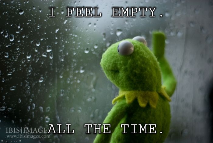 kermit window | I FEEL EMPTY. ALL THE TIME. | image tagged in kermit window | made w/ Imgflip meme maker