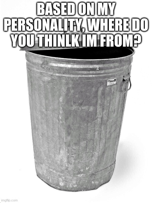 lol you all kno this | BASED ON MY PERSONALITY, WHERE DO YOU THINLK IM FROM? | image tagged in trash can | made w/ Imgflip meme maker