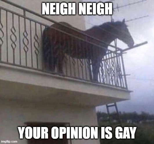 Juan | NEIGH NEIGH YOUR OPINION IS GAY | image tagged in juan | made w/ Imgflip meme maker