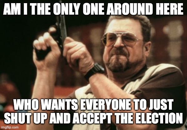 Am I The Only One Around Here Meme | AM I THE ONLY ONE AROUND HERE; WHO WANTS EVERYONE TO JUST SHUT UP AND ACCEPT THE ELECTION | image tagged in memes,am i the only one around here | made w/ Imgflip meme maker