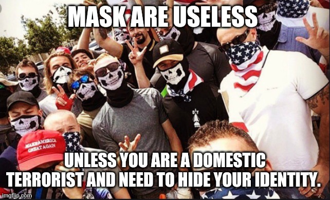 Proud boys | MASK ARE USELESS; UNLESS YOU ARE A DOMESTIC TERRORIST AND NEED TO HIDE YOUR IDENTITY. | image tagged in proud boys,maga,conservatives,election 2020,antifa,donald trump | made w/ Imgflip meme maker