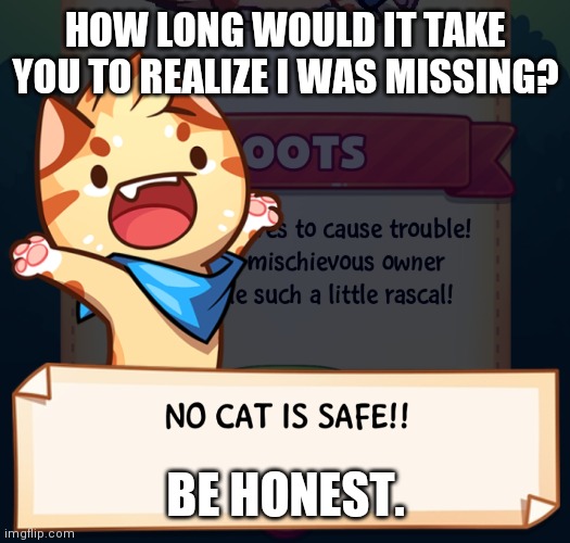 No cat is safe!!! | HOW LONG WOULD IT TAKE YOU TO REALIZE I WAS MISSING? BE HONEST. | image tagged in no cat is safe | made w/ Imgflip meme maker