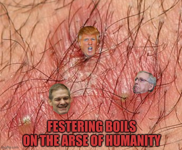 GOP Festering Boils | FESTERING BOILS ON THE ARSE OF HUMANITY | image tagged in jordan,trump,mcconnell | made w/ Imgflip meme maker