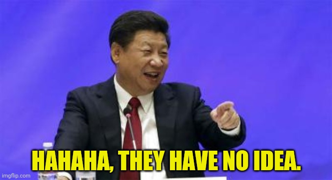 Xi Jinping Laughing | HAHAHA, THEY HAVE NO IDEA. | image tagged in xi jinping laughing | made w/ Imgflip meme maker