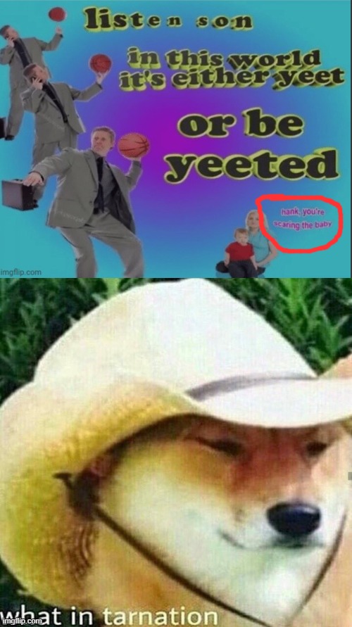 Excuse me? | image tagged in listen son,what in tarnation dog,wtf | made w/ Imgflip meme maker