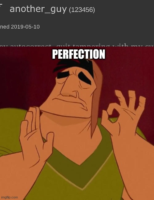 title goes here | PERFECTION | image tagged in tag goes here | made w/ Imgflip meme maker