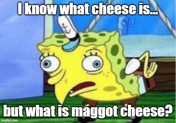 Mocking Spongebob Meme | I know what cheese is... but what is maggot cheese? | image tagged in memes,mocking spongebob,maggot cheese | made w/ Imgflip meme maker