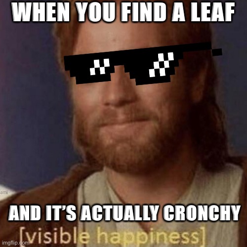 Leaf | WHEN YOU FIND A LEAF; AND IT’S ACTUALLY CRONCHY | image tagged in visible happiness | made w/ Imgflip meme maker