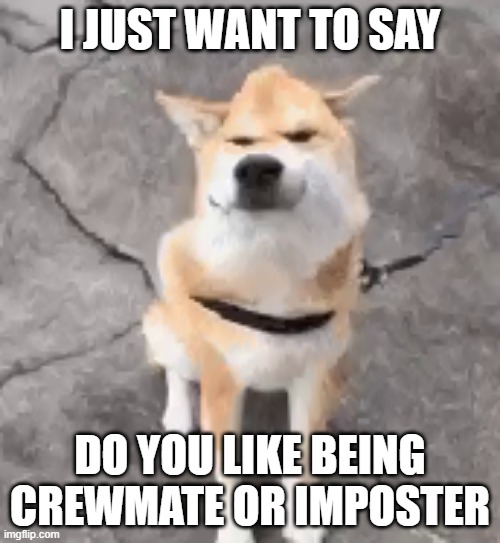 Distorted Doggo Wants To Say Something... | I JUST WANT TO SAY; DO YOU LIKE BEING CREWMATE OR IMPOSTER | image tagged in distorted doggo wants to say something | made w/ Imgflip meme maker