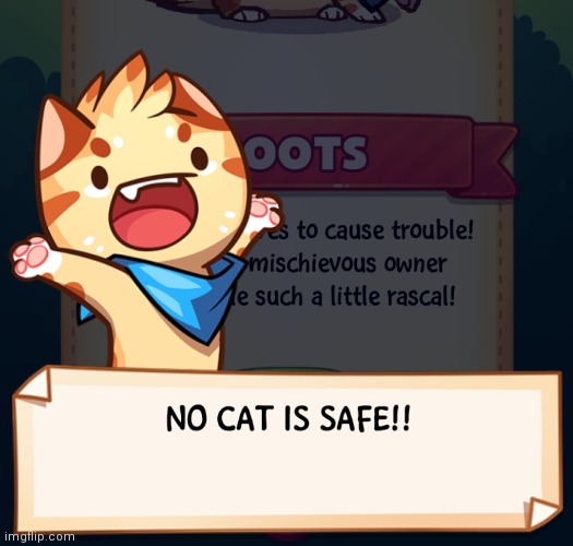 No cat is safe!!! | image tagged in no cat is safe | made w/ Imgflip meme maker