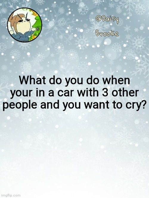 . | What do you do when your in a car with 3 other people and you want to cry? | image tagged in daisy's christmas template | made w/ Imgflip meme maker