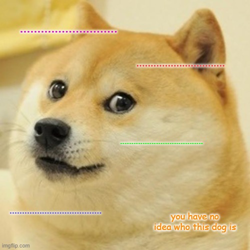 ... | ............................ ............................... ..................................... ..................................... you have no idea who this dog is | image tagged in memes,doge | made w/ Imgflip meme maker