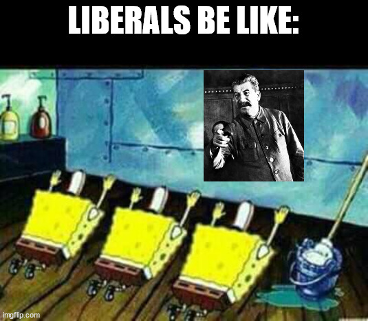 greatly meme | LIBERALS BE LIKE: | image tagged in greatly meme | made w/ Imgflip meme maker