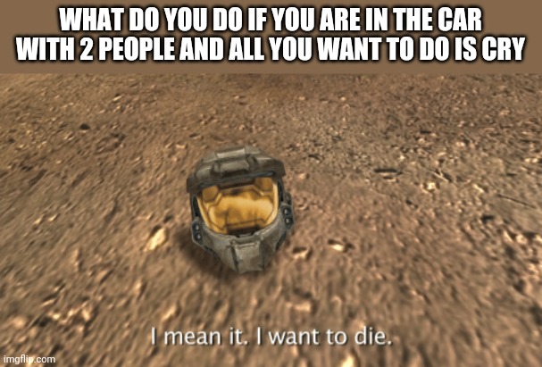 I mean it i want to die | WHAT DO YOU DO IF YOU ARE IN THE CAR WITH 2 PEOPLE AND ALL YOU WANT TO DO IS CRY | image tagged in i mean it i want to die | made w/ Imgflip meme maker