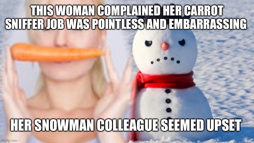 Snowman carrot | THIS WOMAN COMPLAINED HER CARROT SNIFFER JOB WAS POINTLESS AND EMBARRASSING; HER SNOWMAN COLLEAGUE SEEMED UPSET | image tagged in frosty the snowman | made w/ Imgflip meme maker