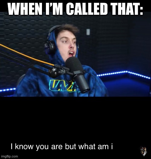I know what you are but what am i | WHEN I’M CALLED THAT: | image tagged in i know what you are but what am i | made w/ Imgflip meme maker