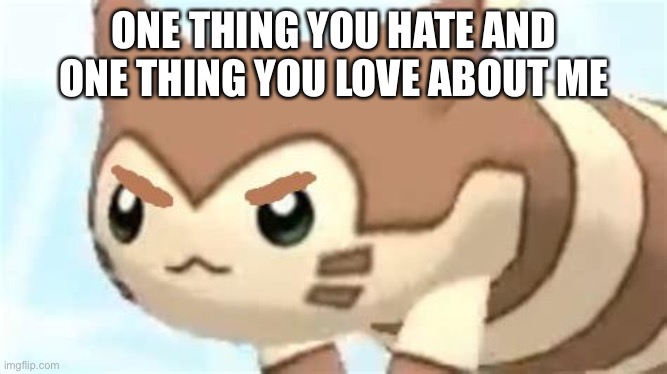 angry furret | ONE THING YOU HATE AND ONE THING YOU LOVE ABOUT ME | image tagged in angry furret | made w/ Imgflip meme maker