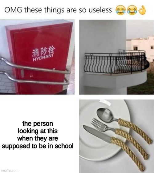 hm | the person looking at this when they are supposed to be in school | image tagged in useless things | made w/ Imgflip meme maker