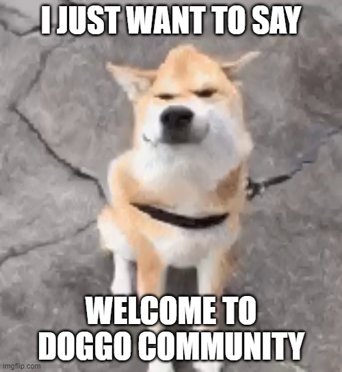 welcome doggo recruits | I JUST WANT TO SAY; WELCOME TO DOGGO COMMUNITY | image tagged in distorted doggo wants to say something | made w/ Imgflip meme maker