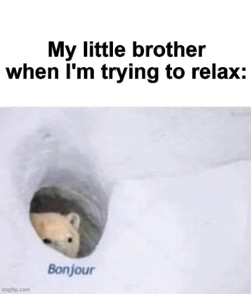 Like seriously stop |  My little brother when I'm trying to relax: | image tagged in bonjour | made w/ Imgflip meme maker