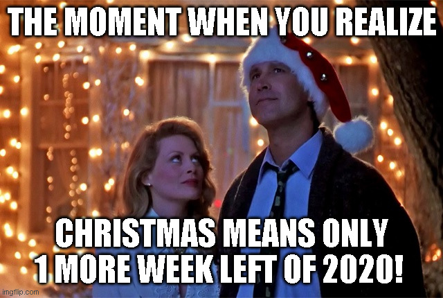 Only one to go | THE MOMENT WHEN YOU REALIZE; CHRISTMAS MEANS ONLY 1 MORE WEEK LEFT OF 2020! | image tagged in christmas vacation | made w/ Imgflip meme maker