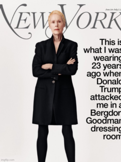 E. Jean Carroll. Actively pursuing a claim against the President of the United States, right now. | image tagged in e jean carroll | made w/ Imgflip meme maker