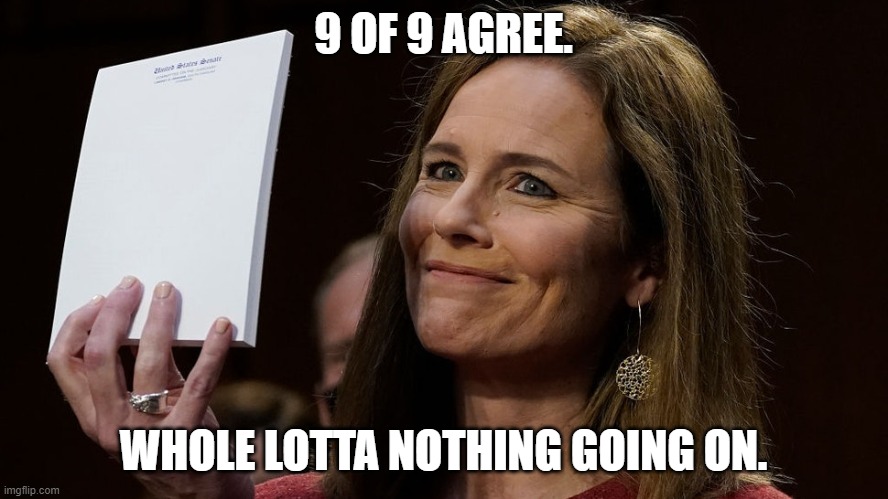 Amy Coney Barrett | 9 OF 9 AGREE. WHOLE LOTTA NOTHING GOING ON. | image tagged in amy coney barrett | made w/ Imgflip meme maker
