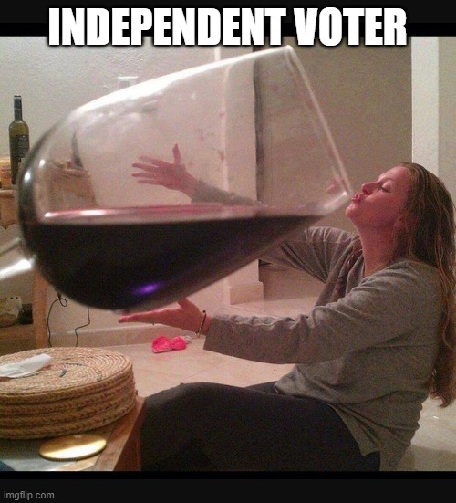 Giant glass of wine | INDEPENDENT VOTER | image tagged in giant glass of wine | made w/ Imgflip meme maker