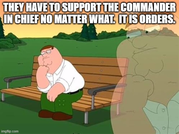 pensive reflecting thoughtful peter griffin | THEY HAVE TO SUPPORT THE COMMANDER IN CHIEF NO MATTER WHAT.  IT IS ORDERS. | image tagged in pensive reflecting thoughtful peter griffin | made w/ Imgflip meme maker