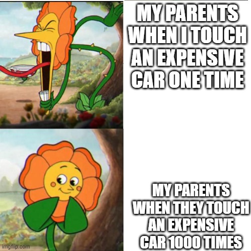 Cuphead Flower | MY PARENTS WHEN I TOUCH AN EXPENSIVE CAR ONE TIME; MY PARENTS WHEN THEY TOUCH AN EXPENSIVE CAR 1000 TIMES | image tagged in cuphead flower | made w/ Imgflip meme maker