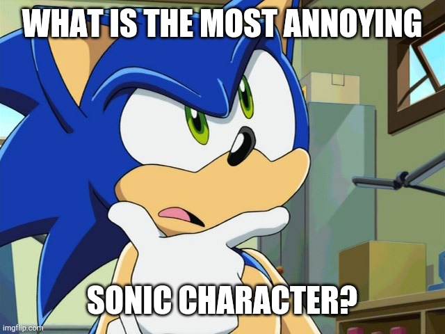 Most annoying Sonic Character? | WHAT IS THE MOST ANNOYING; SONIC CHARACTER? | image tagged in sonic wondering | made w/ Imgflip meme maker