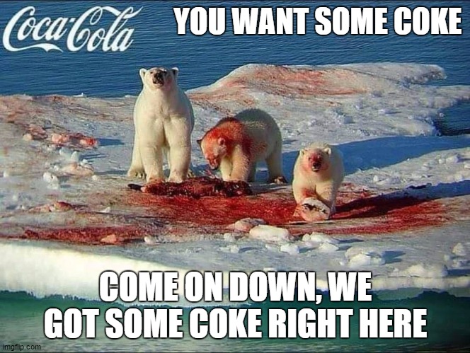 Holiday coke bears gone wild. | YOU WANT SOME COKE; COME ON DOWN, WE GOT SOME COKE RIGHT HERE | image tagged in random,share a coke with,holidays,polar bear | made w/ Imgflip meme maker