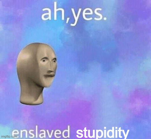 Ah Yes enslaved | stupidity | image tagged in ah yes enslaved | made w/ Imgflip meme maker