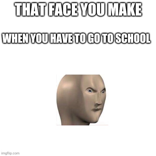 Whyyyyy | THAT FACE YOU MAKE; WHEN YOU HAVE TO GO TO SCHOOL | image tagged in blank white template,meme man,school meme,that face you make when | made w/ Imgflip meme maker