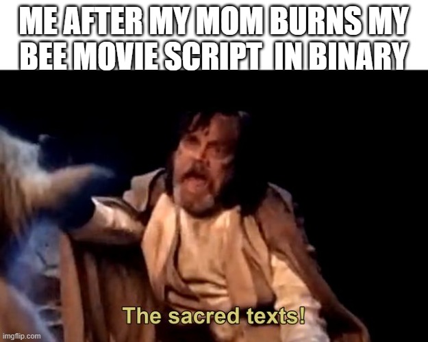 the sacred texts!! | ME AFTER MY MOM BURNS MY BEE MOVIE SCRIPT  IN BINARY | image tagged in the sacred texts | made w/ Imgflip meme maker