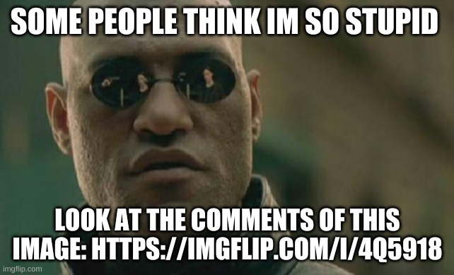 https://imgflip.com/i/4q5918 | SOME PEOPLE THINK IM SO STUPID; LOOK AT THE COMMENTS OF THIS IMAGE: HTTPS://IMGFLIP.COM/I/4Q5918 | image tagged in memes,matrix morpheus | made w/ Imgflip meme maker