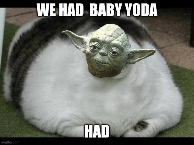 fat cat 2 | WE HAD  BABY YODA; HAD | image tagged in fat cat 2 | made w/ Imgflip meme maker