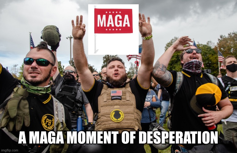 A MAGA MOMENT OF DESPERATION | made w/ Imgflip meme maker