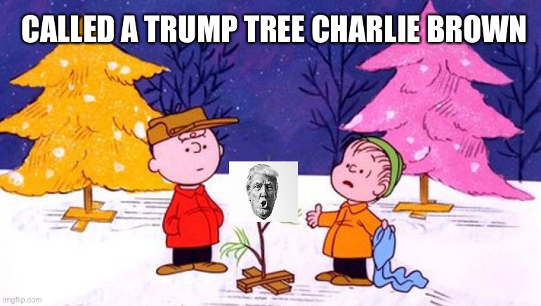 Charlie Brown Christmas Tree | CALLED A TRUMP TREE CHARLIE BROWN | image tagged in charlie brown christmas tree | made w/ Imgflip meme maker