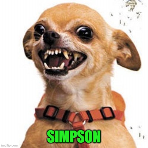 SIMPSON | made w/ Imgflip meme maker