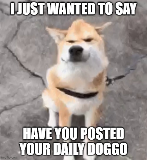 Distorted Doggo Wants To Say Something... | I JUST WANTED TO SAY; HAVE YOU POSTED YOUR DAILY DOGGO | image tagged in distorted doggo wants to say something | made w/ Imgflip meme maker