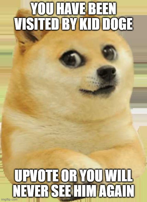 upvote pls | YOU HAVE BEEN VISITED BY KID DOGE; UPVOTE OR YOU WILL NEVER SEE HIM AGAIN | image tagged in kid doge | made w/ Imgflip meme maker