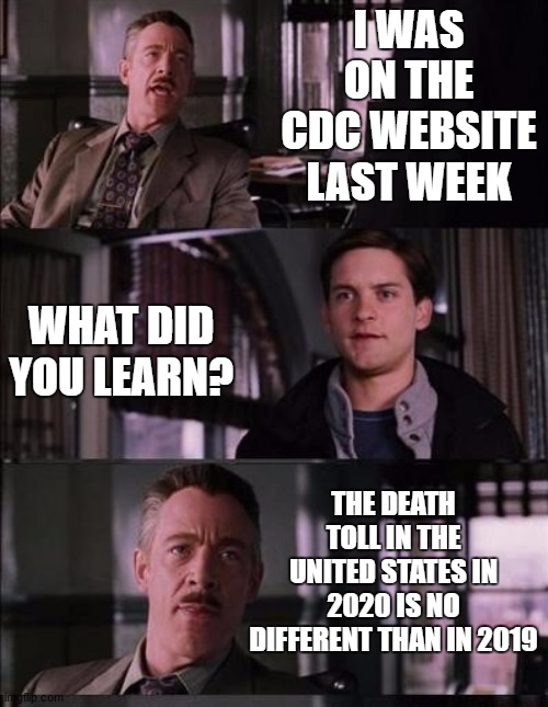 So with a big bad ass pandemic going on, how can that be. By the way the article was taken down shortly after being put up. Anyo | I WAS ON THE CDC WEBSITE LAST WEEK; WHAT DID YOU LEARN? THE DEATH TOLL IN THE UNITED STATES IN 2020 IS NO DIFFERENT THAN IN 2019 | image tagged in random,covid-19,corona virus,politics,real news,fake news | made w/ Imgflip meme maker