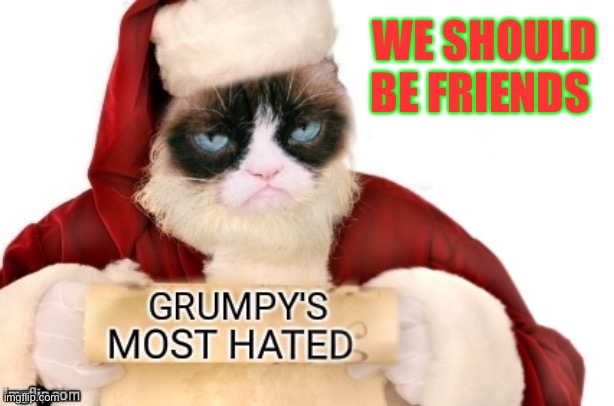 Grumpy's most hated list | WE SHOULD BE FRIENDS | image tagged in grumpy's most hated list | made w/ Imgflip meme maker