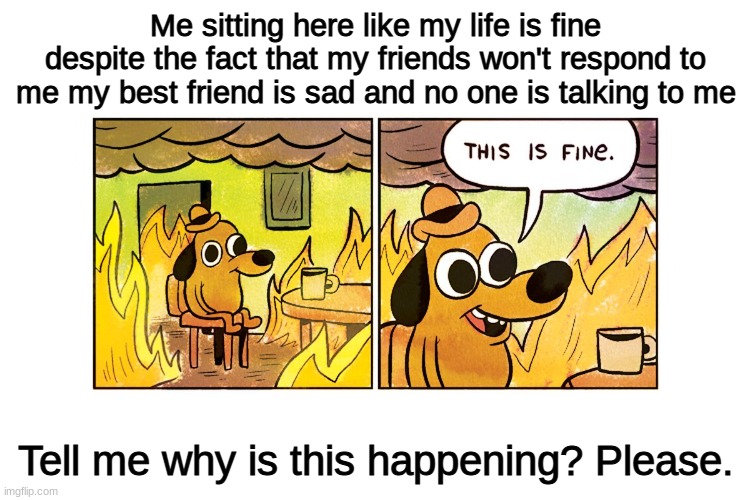 Explain this please . | Me sitting here like my life is fine despite the fact that my friends won't respond to me my best friend is sad and no one is talking to me; Tell me why is this happening? Please. | image tagged in this is fine | made w/ Imgflip meme maker