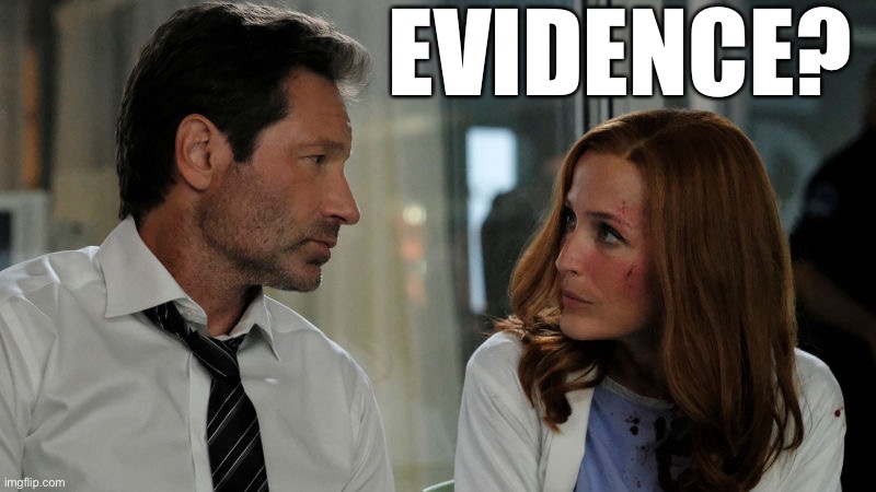 Mulder and Scully #xfiles | EVIDENCE? | image tagged in mulder and scully xfiles | made w/ Imgflip meme maker