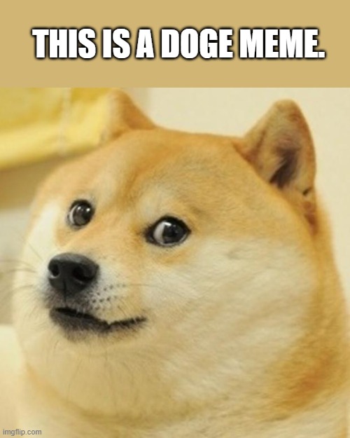 Doge | THIS IS A DOGE MEME. | image tagged in memes,doge | made w/ Imgflip meme maker