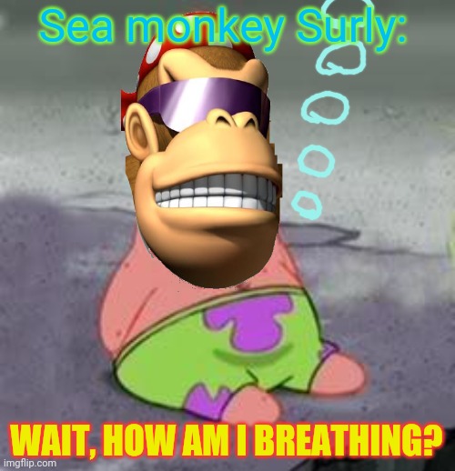 Sea monkey Surly | Sea monkey Surly:; WAIT, HOW AM I BREATHING? | image tagged in suprised patrick,sea monkey,surlykong,underwater | made w/ Imgflip meme maker